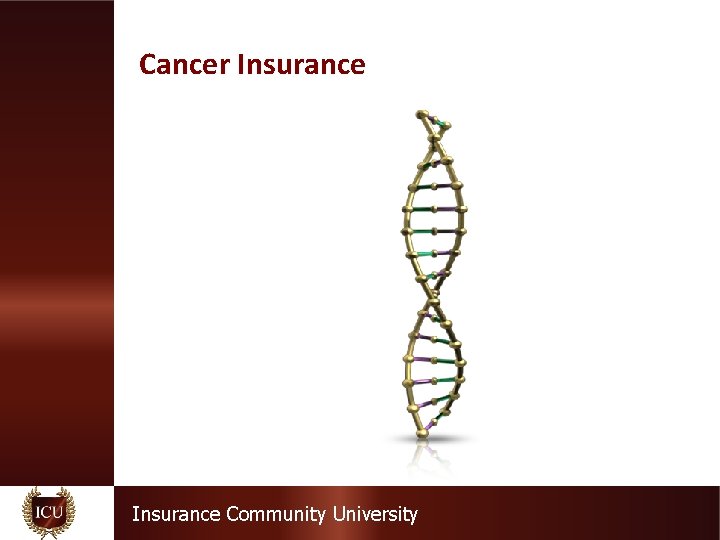 Cancer Insurance Community University 