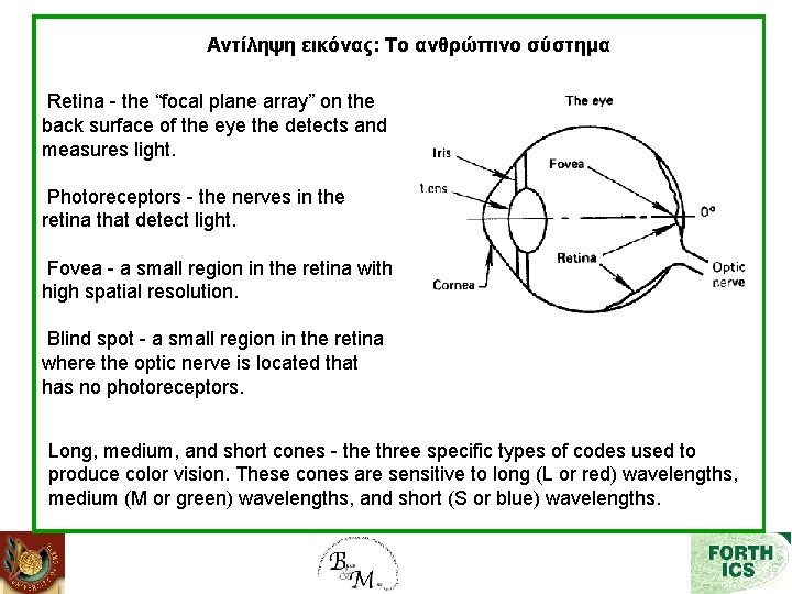 Αντίληψη εικόνας: Το ανθρώπινο σύστημα Retina - the “focal plane array” on the back