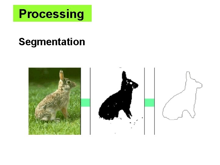 Processing Segmentation 