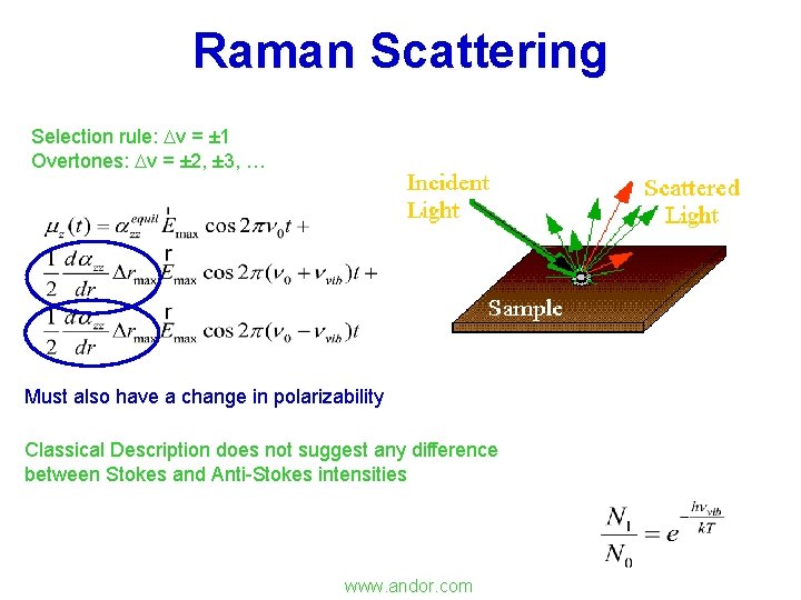 Raman Scattering Selection rule: v = ± 1 Overtones: v = ± 2, ±