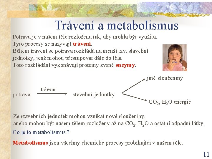 Trávení a metabolismus Potrava je v našem těle rozložena tak, aby mohla být využita.