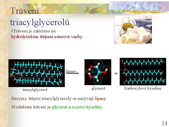 Trávení triacylglycerolů • Trávení je založeno na hydrolytickém štěpení esterové vazby. lipasy triacylglycerol +