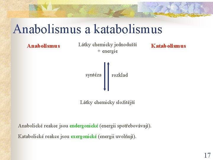 Anabolismus a katabolismus Anabolismus Látky chemicky jednodušší + energie syntéza Katabolismus rozklad Látky chemicky