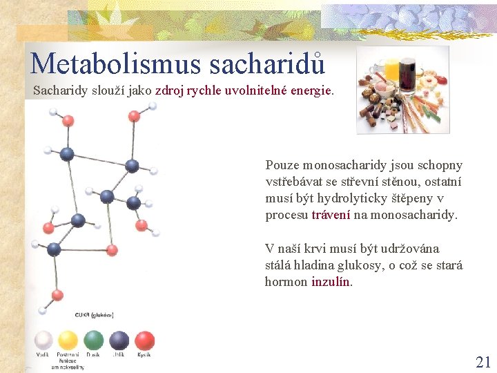 Metabolismus sacharidů Sacharidy slouží jako zdroj rychle uvolnitelné energie. Pouze monosacharidy jsou schopny vstřebávat