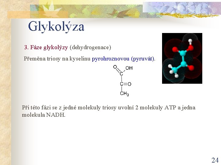 Glykolýza 3. Fáze glykolýzy (dehydrogenace) Přeměna triosy na kyselinu pyrohroznovou (pyruvát). Při této fázi