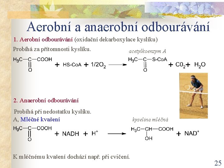 Aerobní a anaerobní odbourávání 1. Aerobní odbourávání (oxidační dekarboxylace kyslíku) Probíhá za přítomnosti kyslíku.