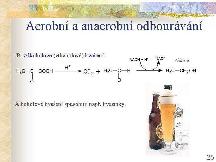 Aerobní a anaerobní odbourávání B, Alkoholové (ethanolové) kvašení ethanol Alkoholové kvašení způsobují např. kvasinky.