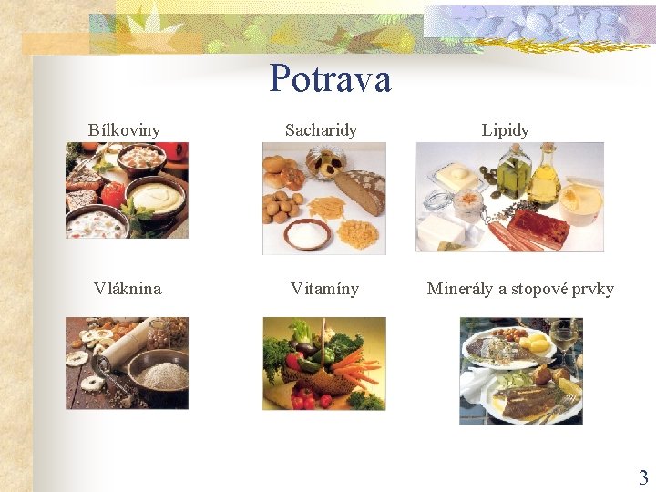 Potrava Bílkoviny Sacharidy Vláknina Vitamíny Lipidy Minerály a stopové prvky 3 