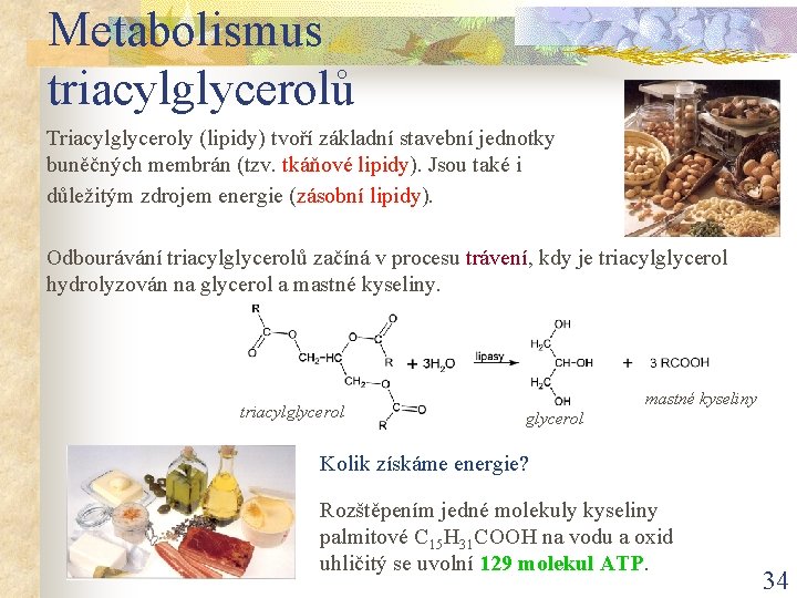 Metabolismus triacylglycerolů Triacylglyceroly (lipidy) tvoří základní stavební jednotky buněčných membrán (tzv. tkáňové lipidy). Jsou