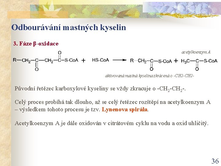 Odbourávání mastných kyselin 3. Fáze β-oxidace acetylkoenzym A aktivovaná mastná kyselina zkrácená o -CH