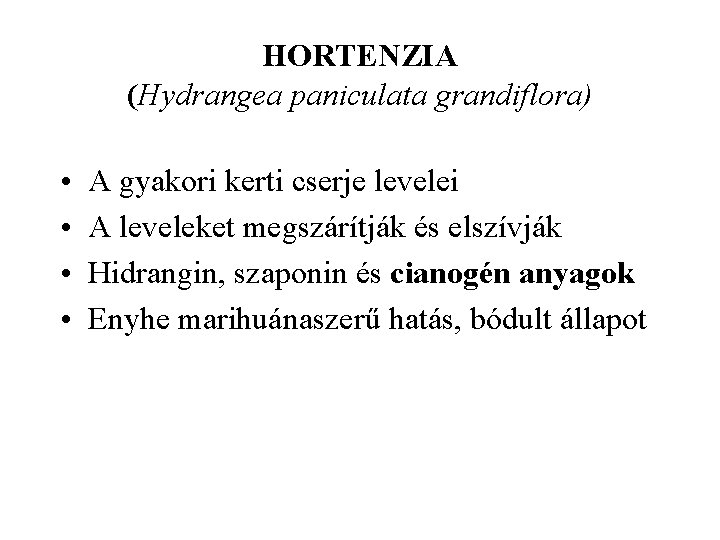 HORTENZIA (Hydrangea paniculata grandiflora) • • A gyakori kerti cserje levelei A leveleket megszárítják