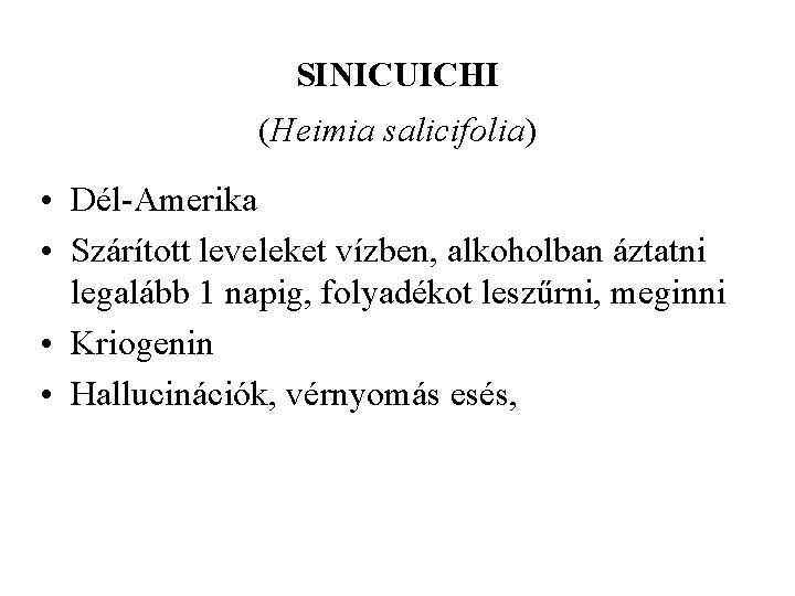 SINICUICHI (Heimia salicifolia) • Dél Amerika • Szárított leveleket vízben, alkoholban áztatni legalább 1