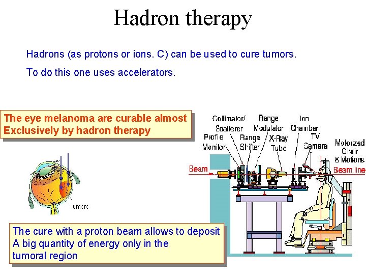 Hadron therapy Hadrons (as protons or ions. C) can be used to cure tumors.