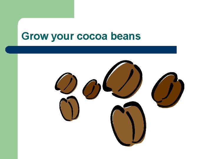 Grow your cocoa beans 