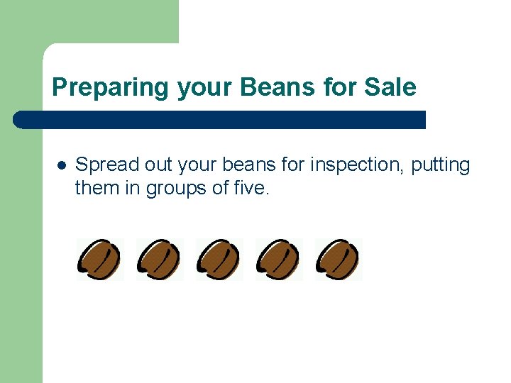 Preparing your Beans for Sale l Spread out your beans for inspection, putting them