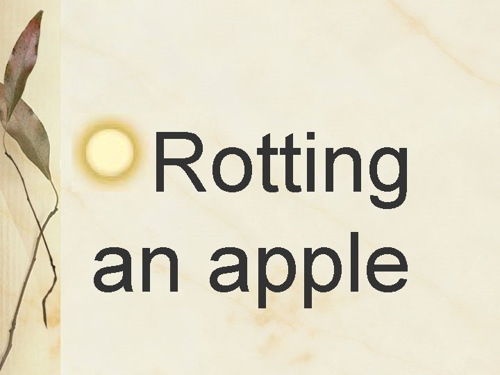 Rotting an apple 