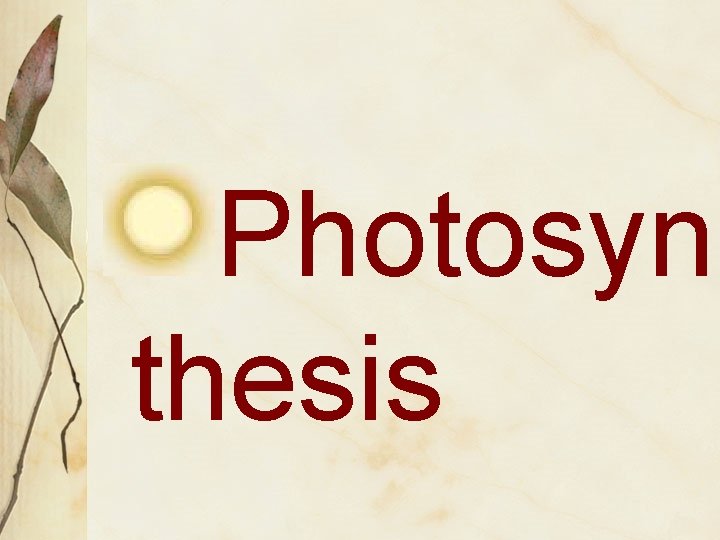 Photosyn thesis 