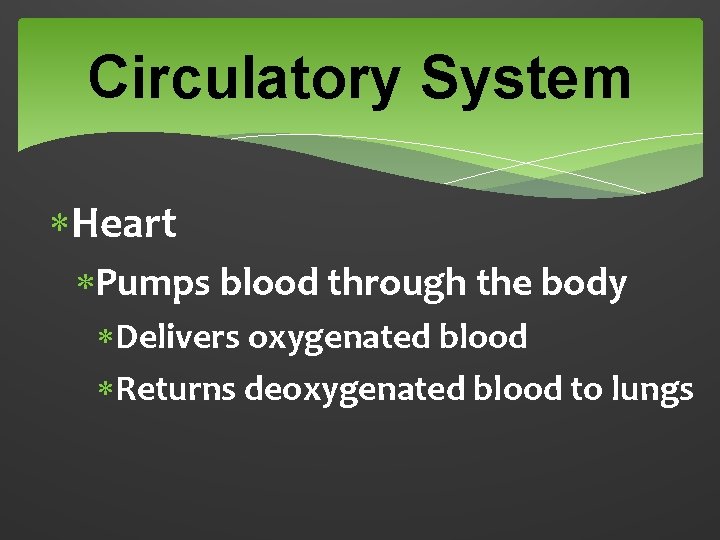 Circulatory System Heart Pumps blood through the body Delivers oxygenated blood Returns deoxygenated blood