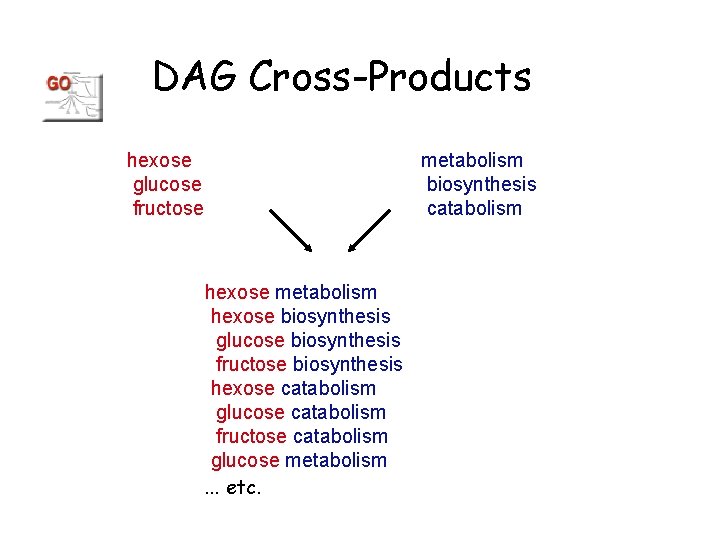 DAG Cross-Products hexose glucose fructose metabolism biosynthesis catabolism hexose metabolism hexose biosynthesis glucose biosynthesis