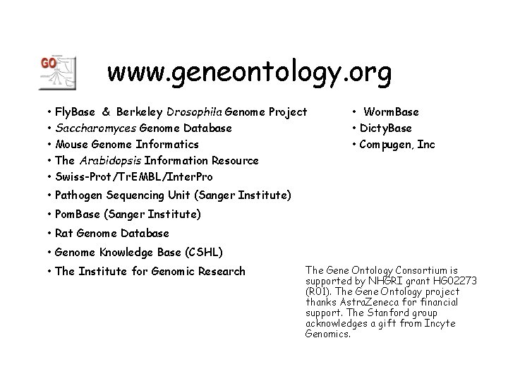 www. geneontology. org • Fly. Base & Berkeley Drosophila Genome Project • Saccharomyces Genome