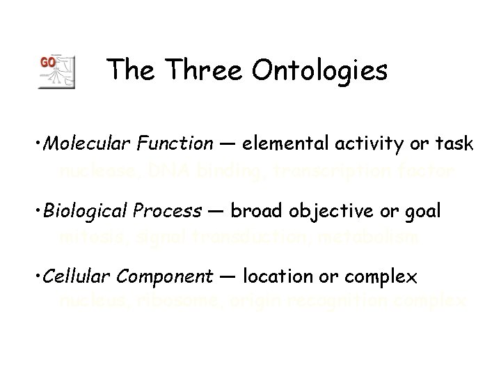 The Three Ontologies • Molecular Function — elemental activity or task nuclease, DNA binding,