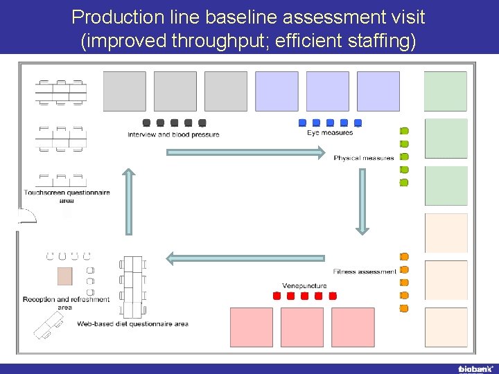 Production line baseline assessment visit (improved throughput; efficient staffing) 
