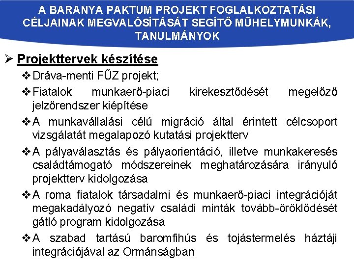 A BARANYA PAKTUM PROJEKT FOGLALKOZTATÁSI CÉLJAINAK MEGVALÓSÍTÁSÁT SEGÍTŐ MŰHELYMUNKÁK, TANULMÁNYOK Ø Projekttervek készítése v