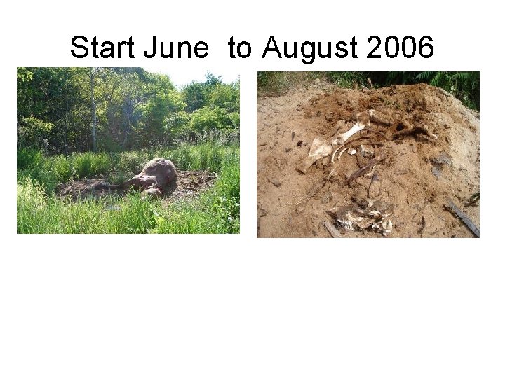 Start June to August 2006 