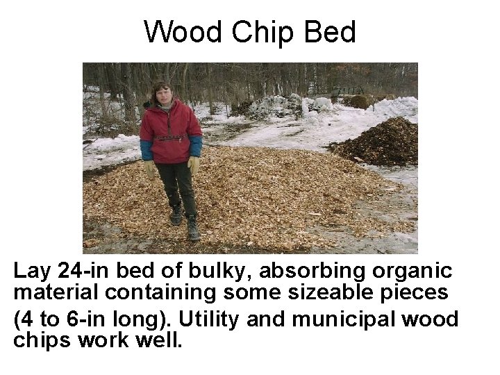 Wood Chip Bed Lay 24 -in bed of bulky, absorbing organic material containing some