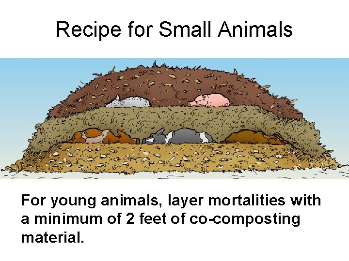 Recipe for Small Animals For young animals, layer mortalities with a minimum of 2