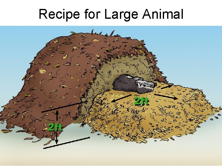 Recipe for Large Animal 