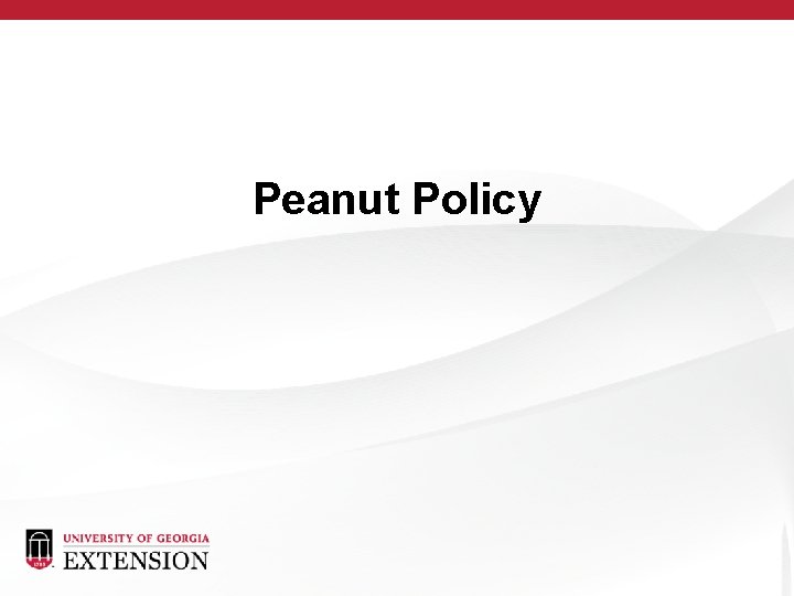 Peanut Policy 