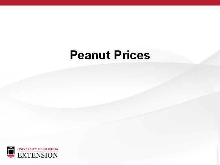 Peanut Prices 