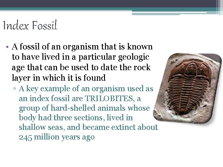 Index Fossil • A fossil of an organism that is known to have lived