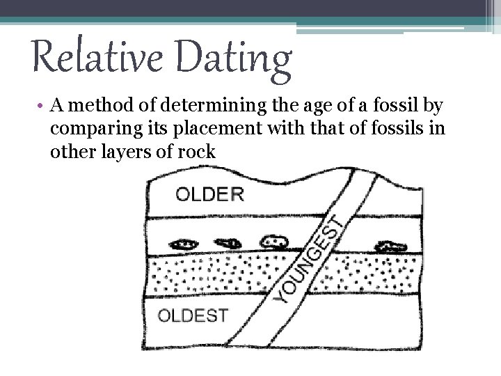 Relative Dating • A method of determining the age of a fossil by comparing