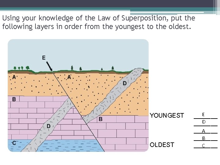 Using your knowledge of the Law of Superposition, put the following layers in order