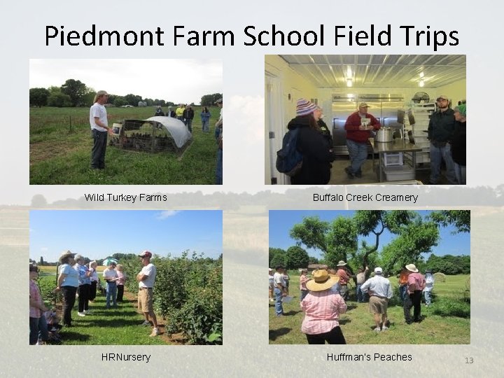 Piedmont Farm School Field Trips Wild Turkey Farms HRNursery Buffalo Creek Creamery Huffman’s Peaches