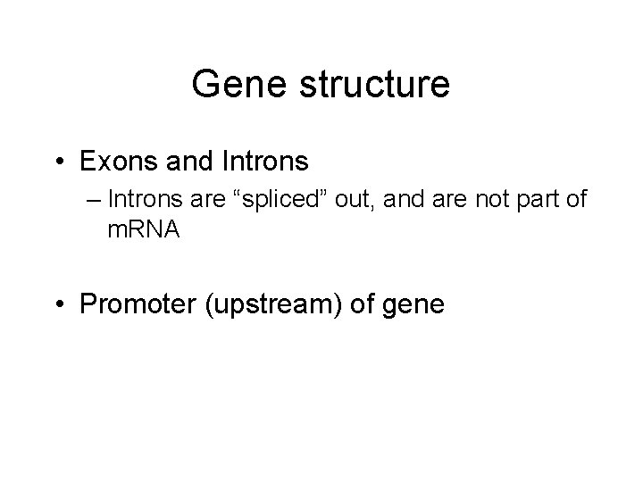 Gene structure • Exons and Introns – Introns are “spliced” out, and are not