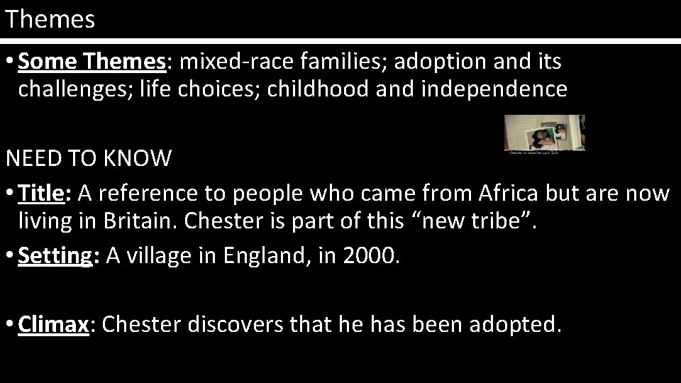 Themes • Some Themes: mixed-race families; adoption and its challenges; life choices; childhood and