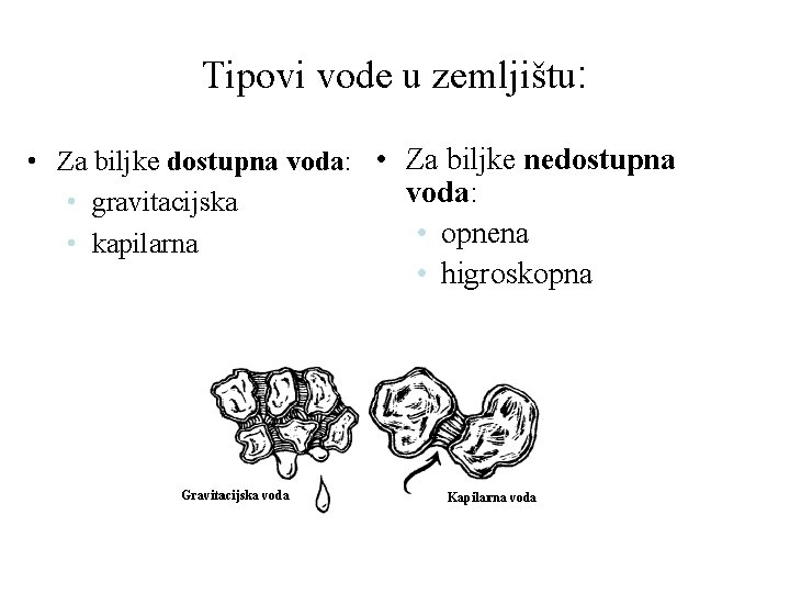 Tipovi vode u zemljištu: • Za biljke dostupna voda: • Za biljke nedostupna voda: