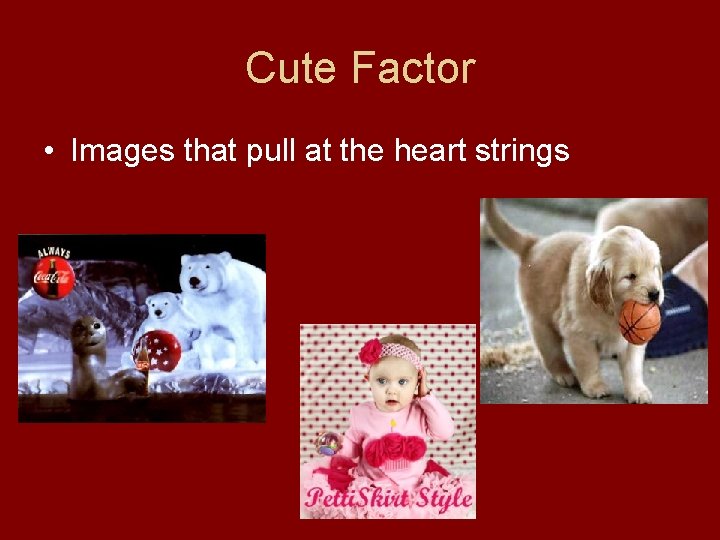 Cute Factor • Images that pull at the heart strings 