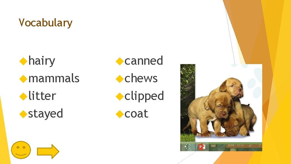 Vocabulary hairy canned mammals chews litter clipped stayed coat 