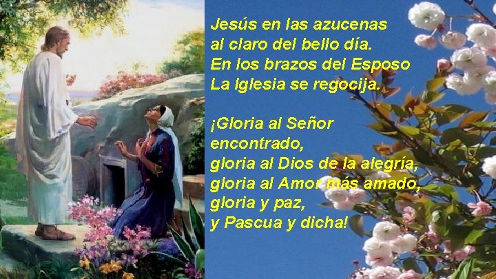 Jesús en las azucenas al claro del bello día. En los brazos del Esposo