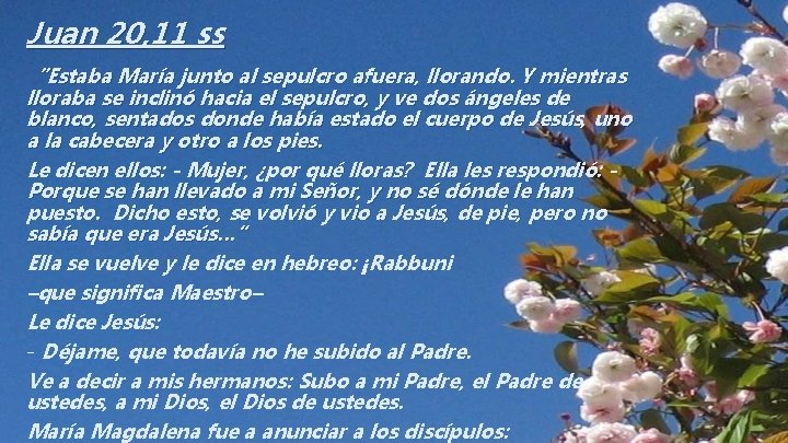 Juan 20, 11 ss “Estaba María junto al sepulcro afuera, llorando. Y mientras lloraba