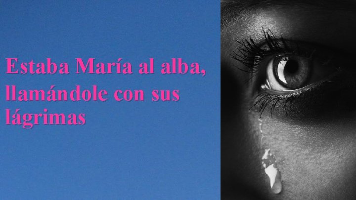 Estaba María al alba, llamándole con sus lágrimas 