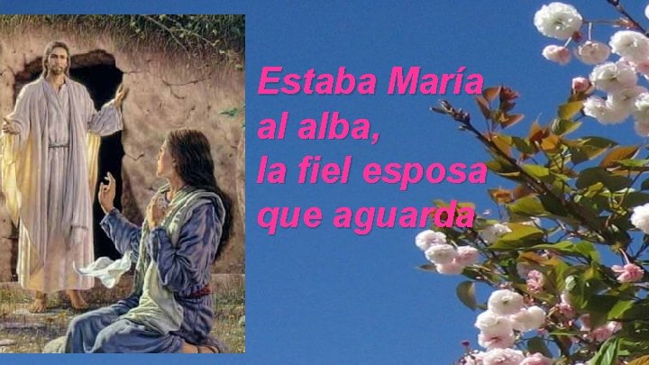 Estaba María al alba, la fiel esposa que aguarda 