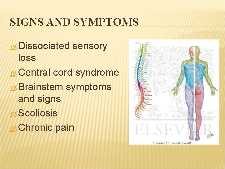 SIGNS AND SYMPTOMS Dissociated sensory loss Central cord syndrome Brainstem symptoms and signs Scoliosis