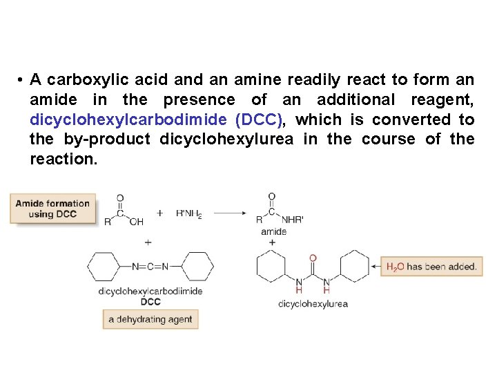  • A carboxylic acid an amine readily react to form an amide in