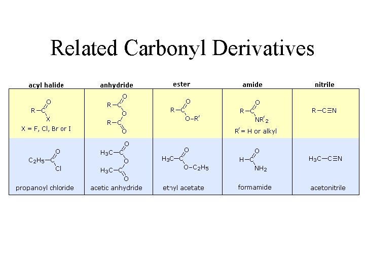 Related Carbonyl Derivatives 