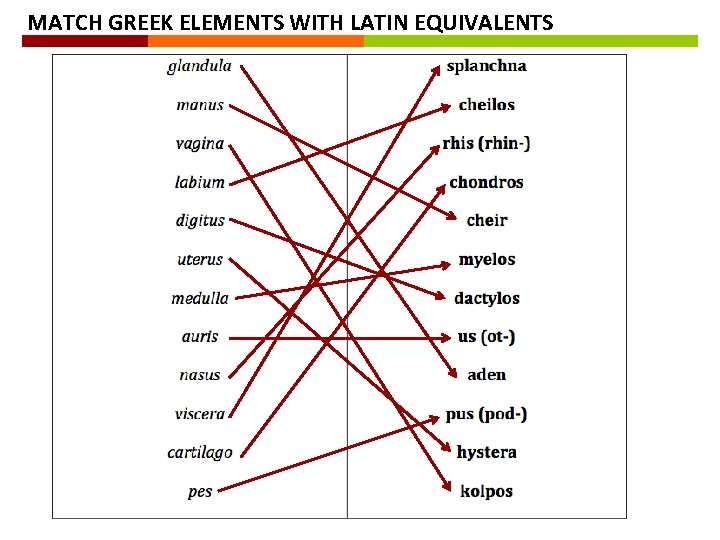MATCH GREEK ELEMENTS WITH LATIN EQUIVALENTS MATCH GREEK ELEMENTS WITH LATIN EQUIVALENTS